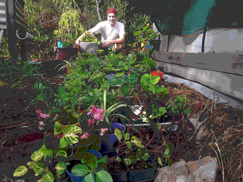 Nursey worker and chief irrigator Lee  with some baby plants , hardened off and ready to leave home
